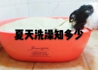 You can do it at home. A comprehensive deep bath method is for you.