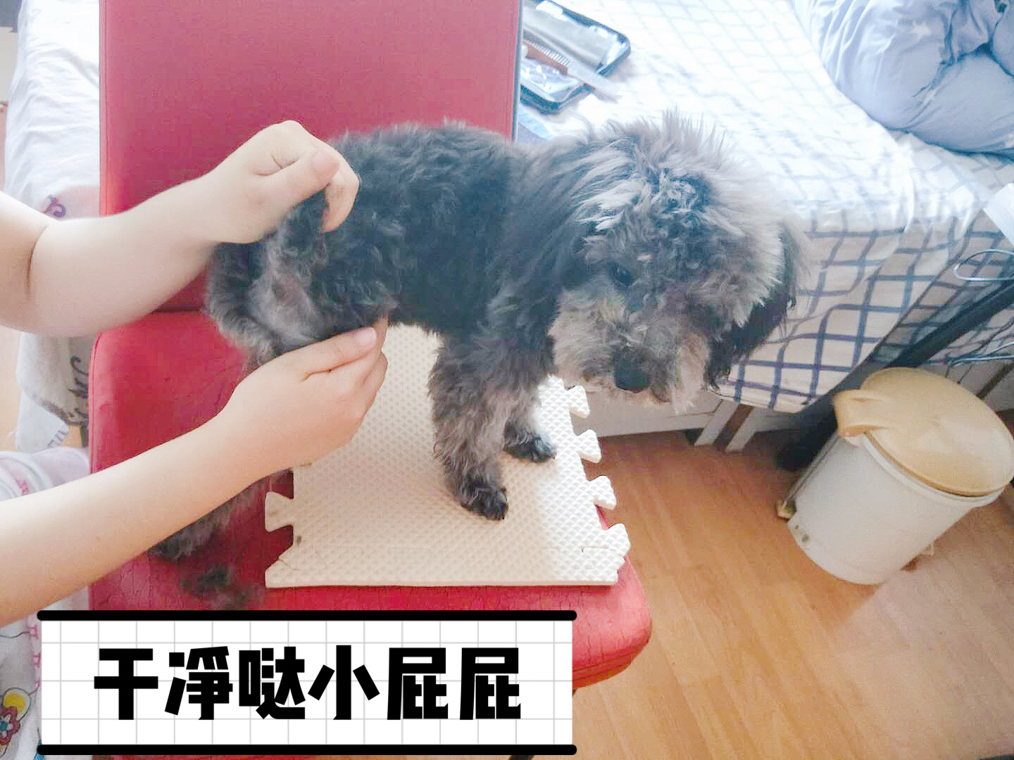 图片1