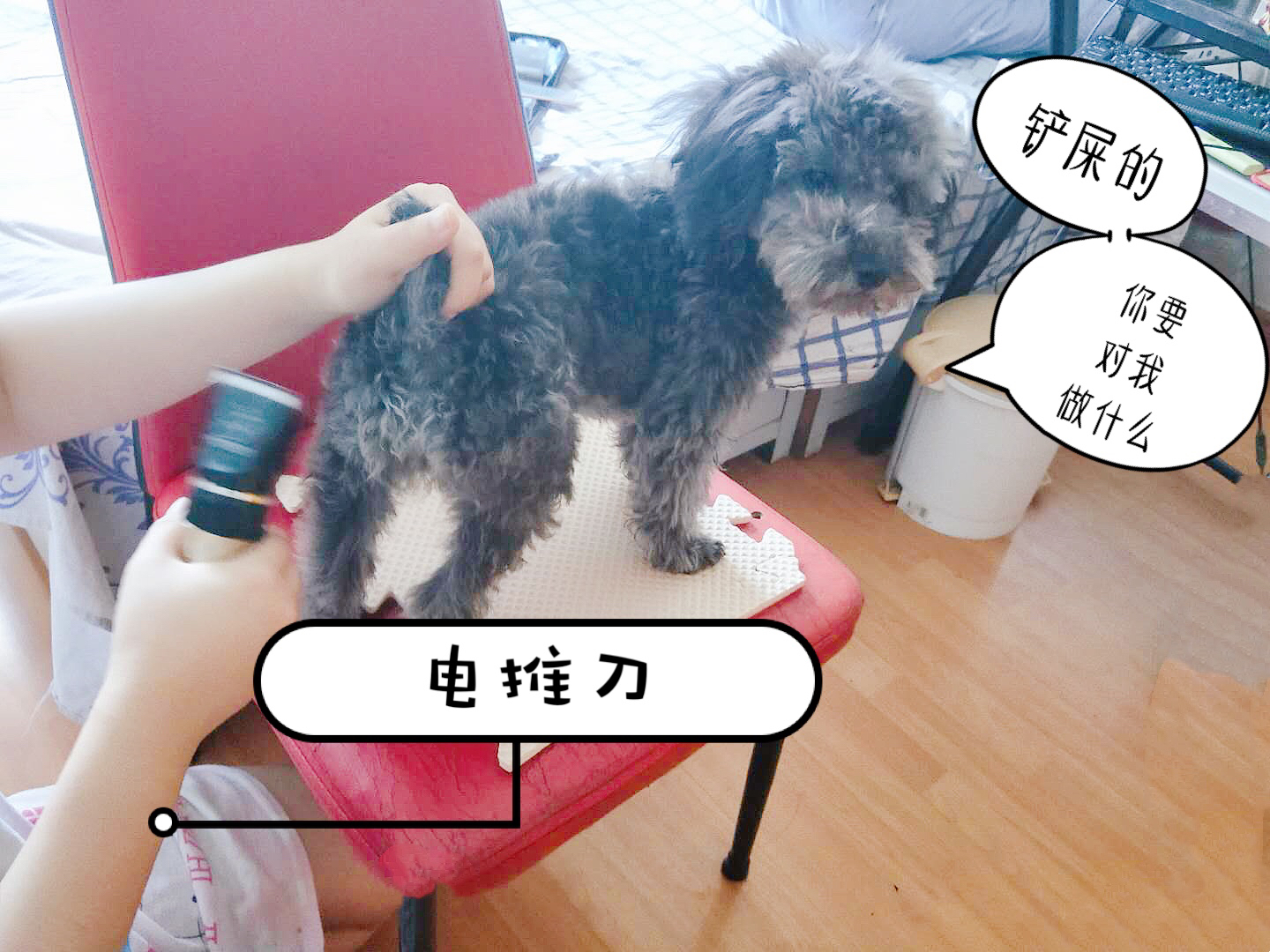 图片1