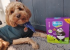 Protect your teeth and taste delicious-Niquwugu series bamboo bone cleaning snacks blueberry flavor L
