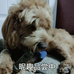 图片1