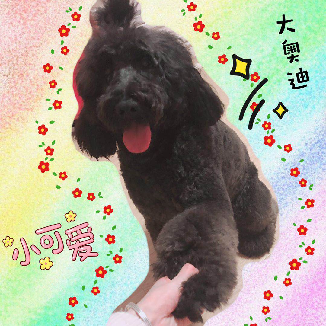 图片1