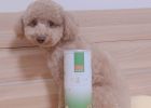 Shake Frozen Three Countries, a freeze-dried meat with probiotics