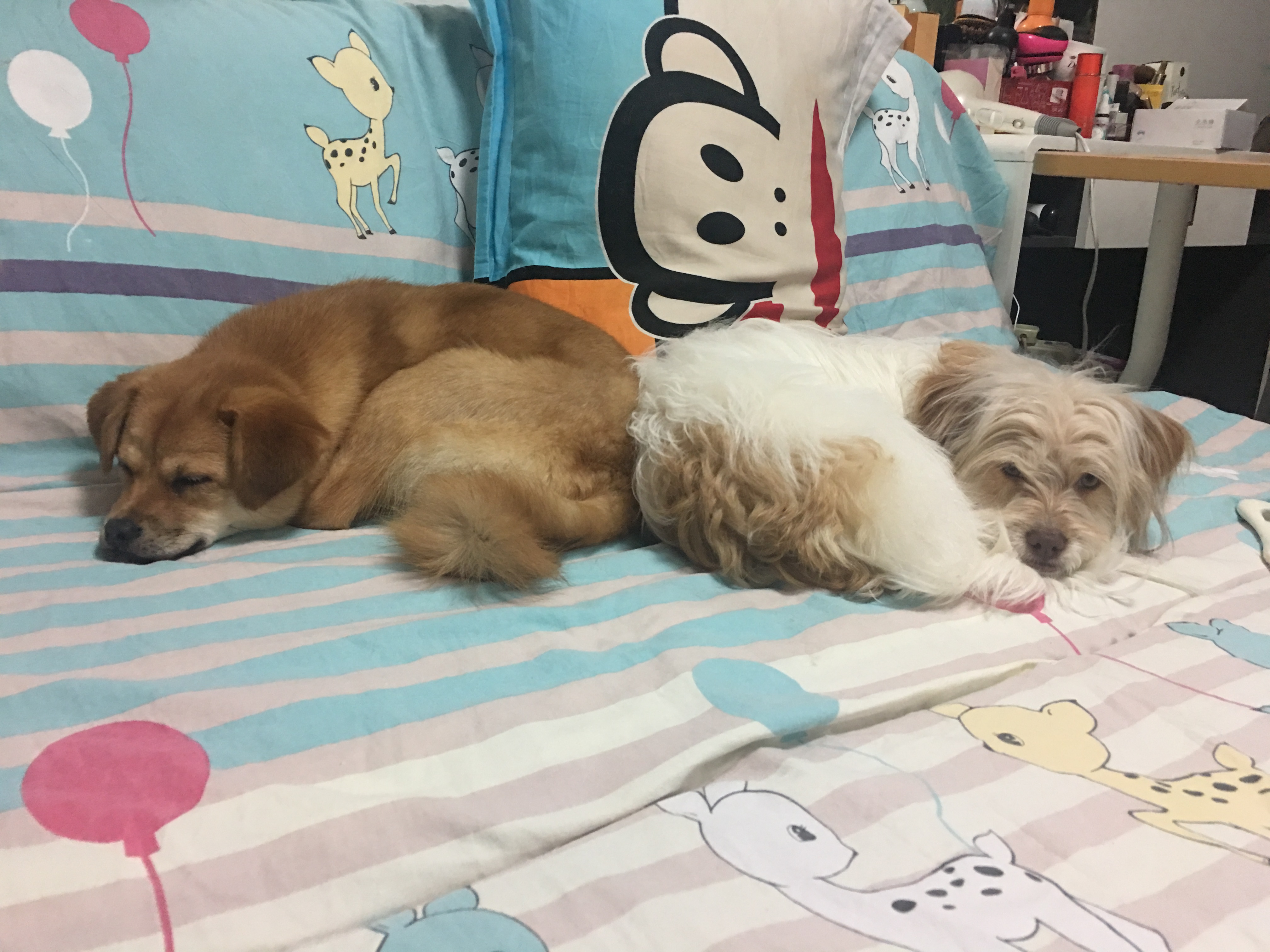 图片1