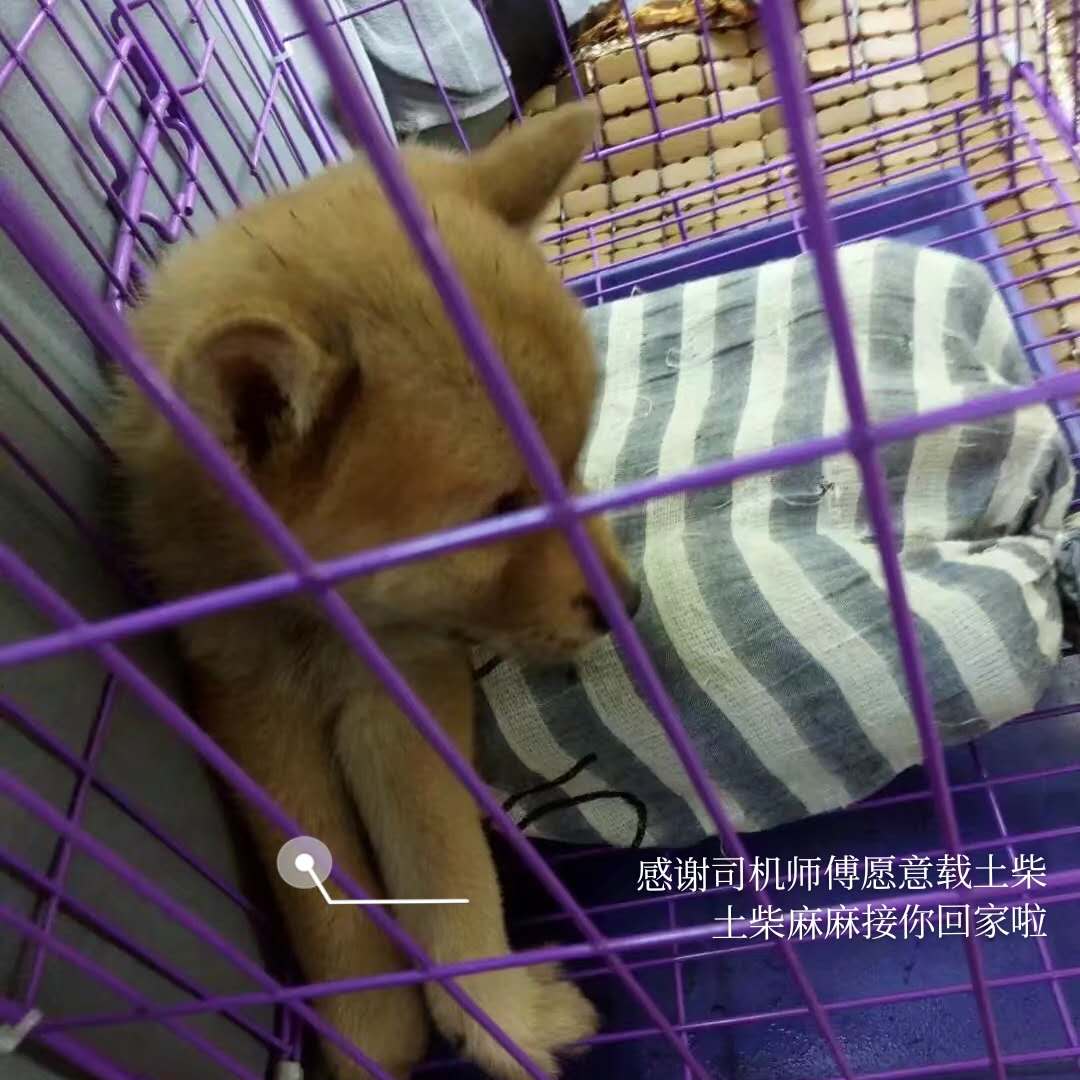 图片1