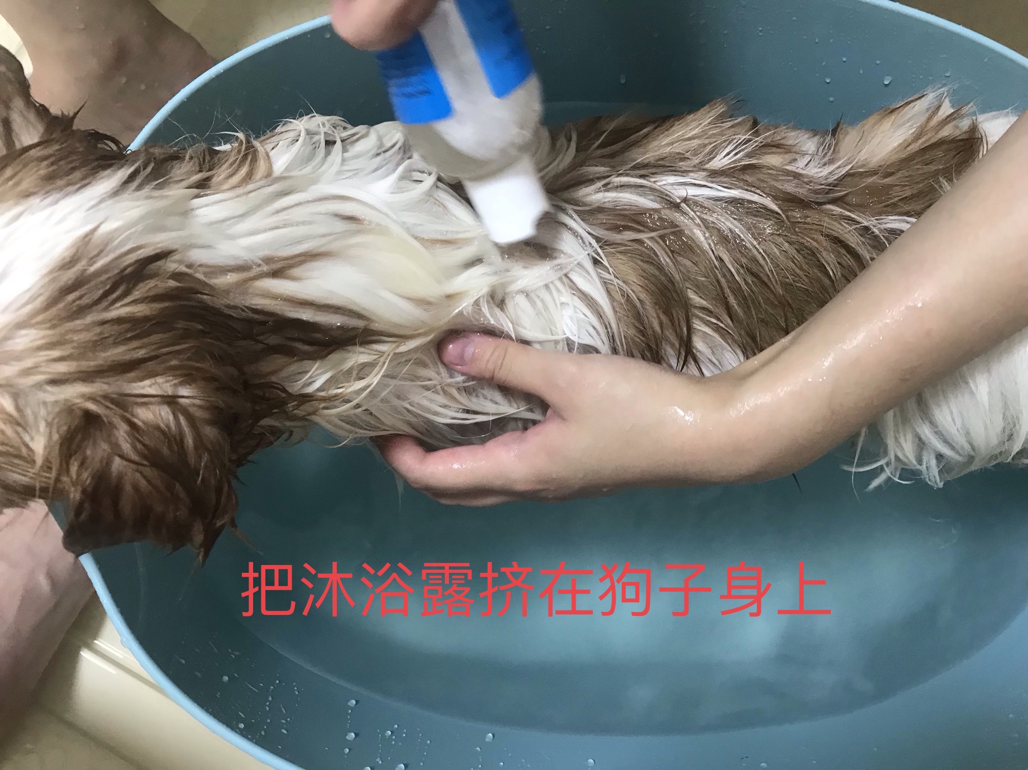 图片1