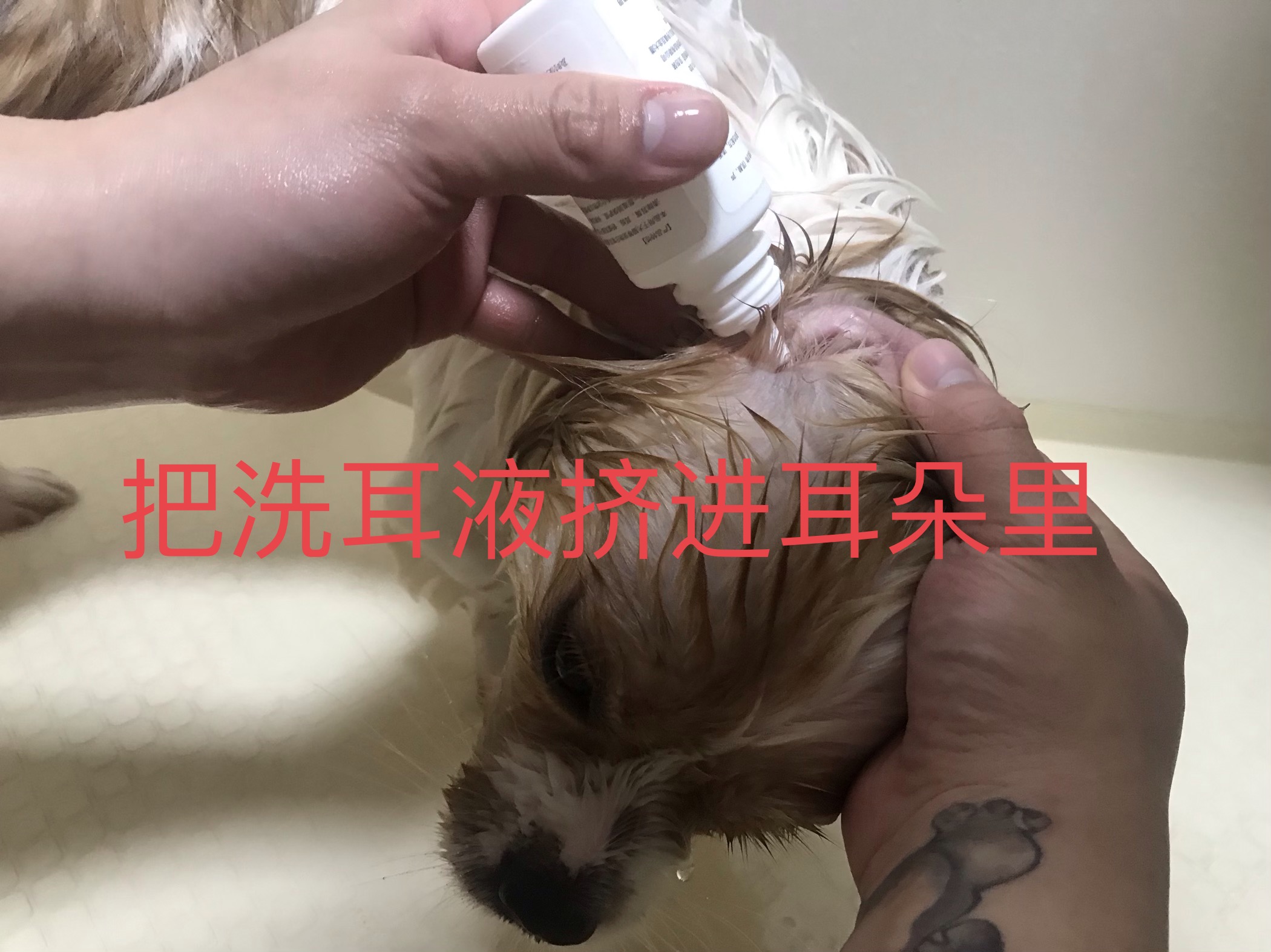 图片1