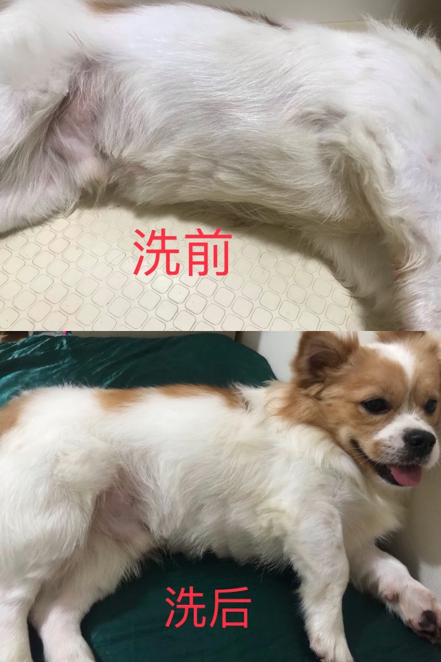 图片1