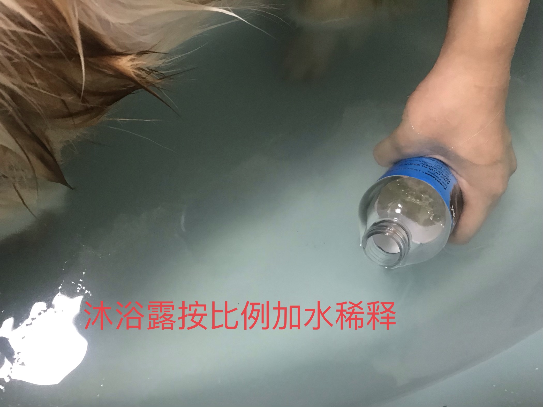 图片1
