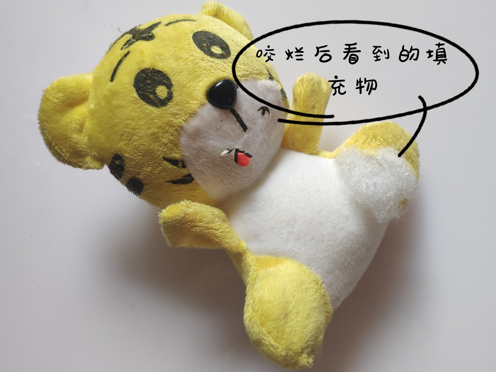 图片1