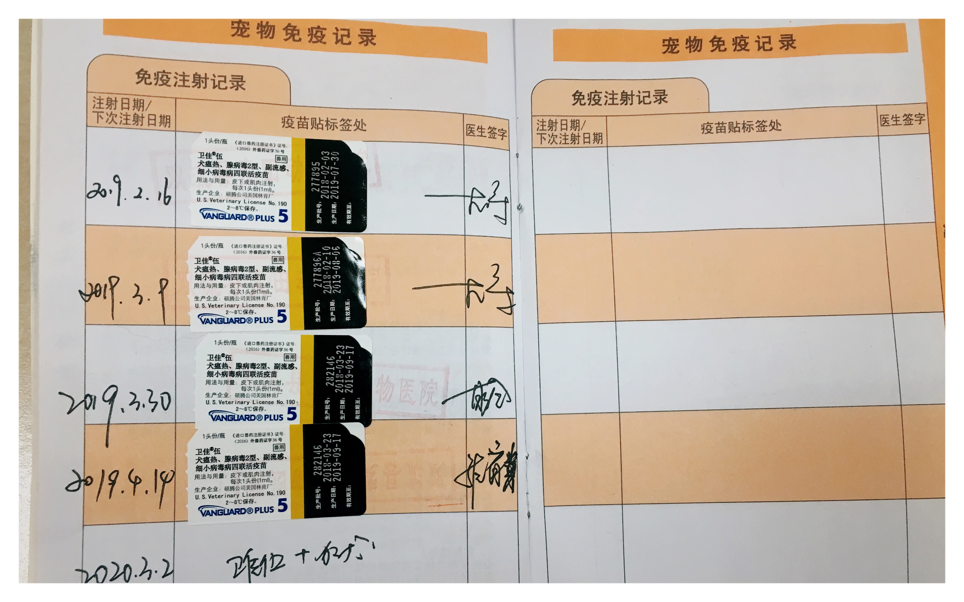 图片1