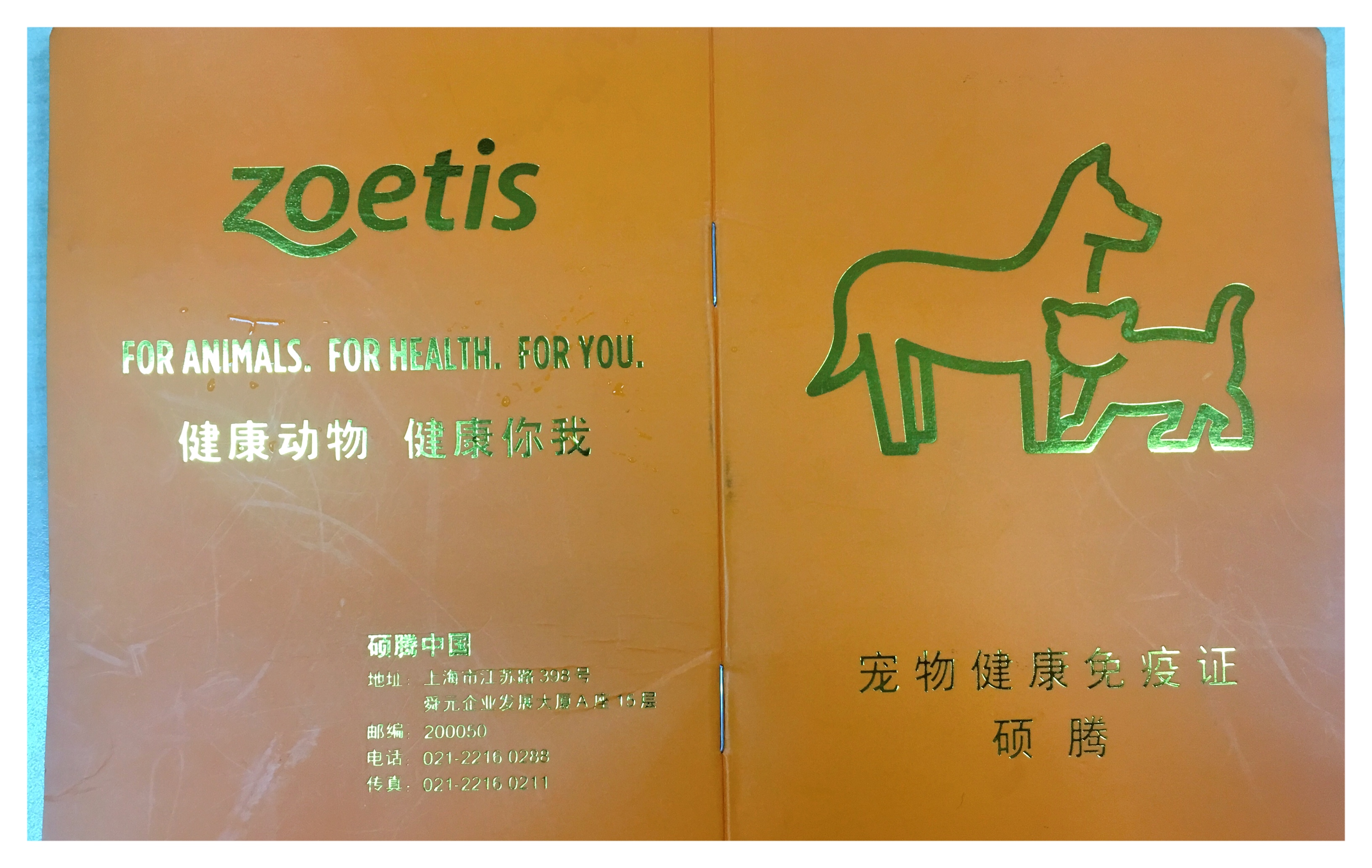 图片1