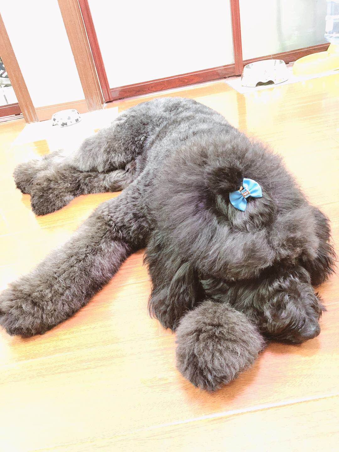 图片1