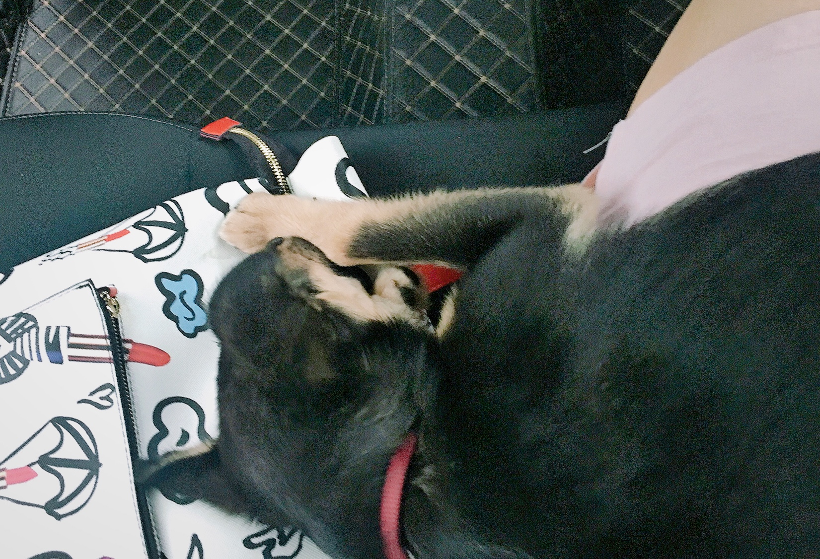 图片1