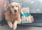 Beile Guardian duck meat, black rice, dog food trial report.