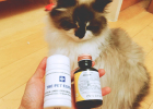 After a long illness, he became a doctor? -- The secret of the medicine box at Baijia Zoo (2)