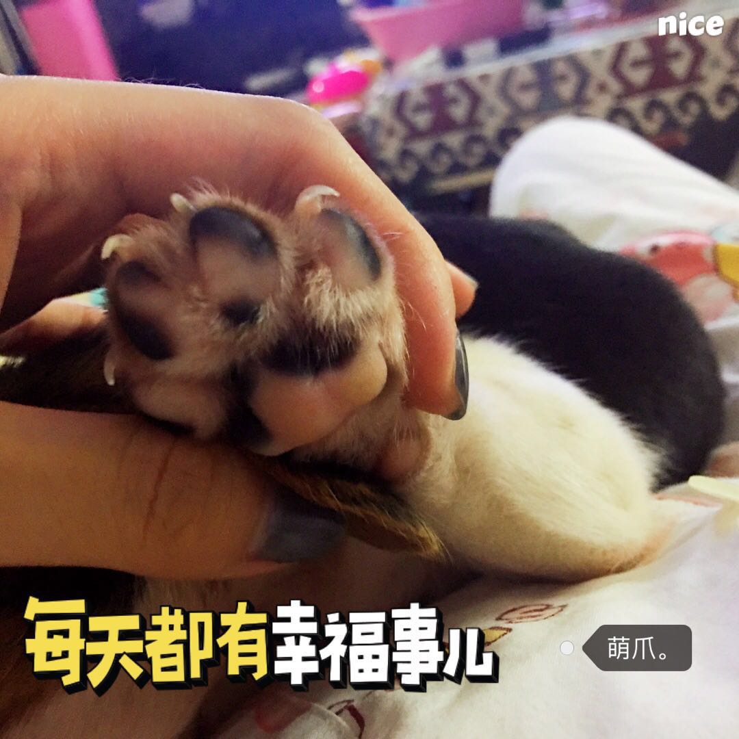 图片1