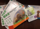 Dogs pay more attention to insect repellent ~