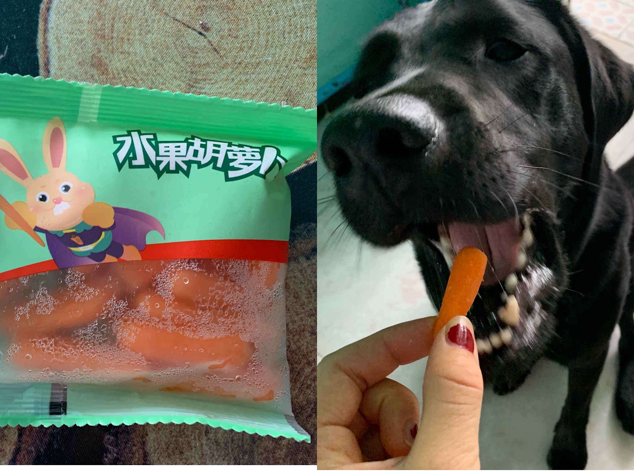 图片1
