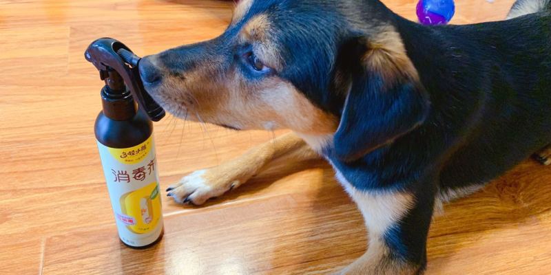 What is the magic of Doraemon disinfectant, which is safe enough to be licked?