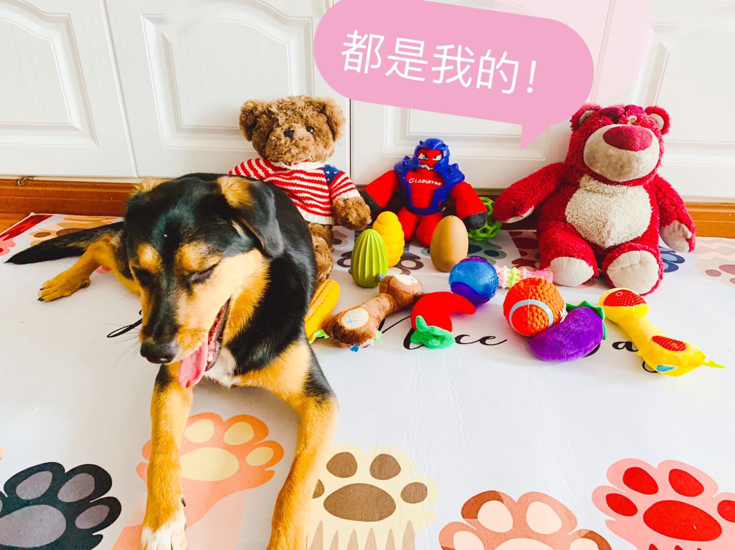 图片1