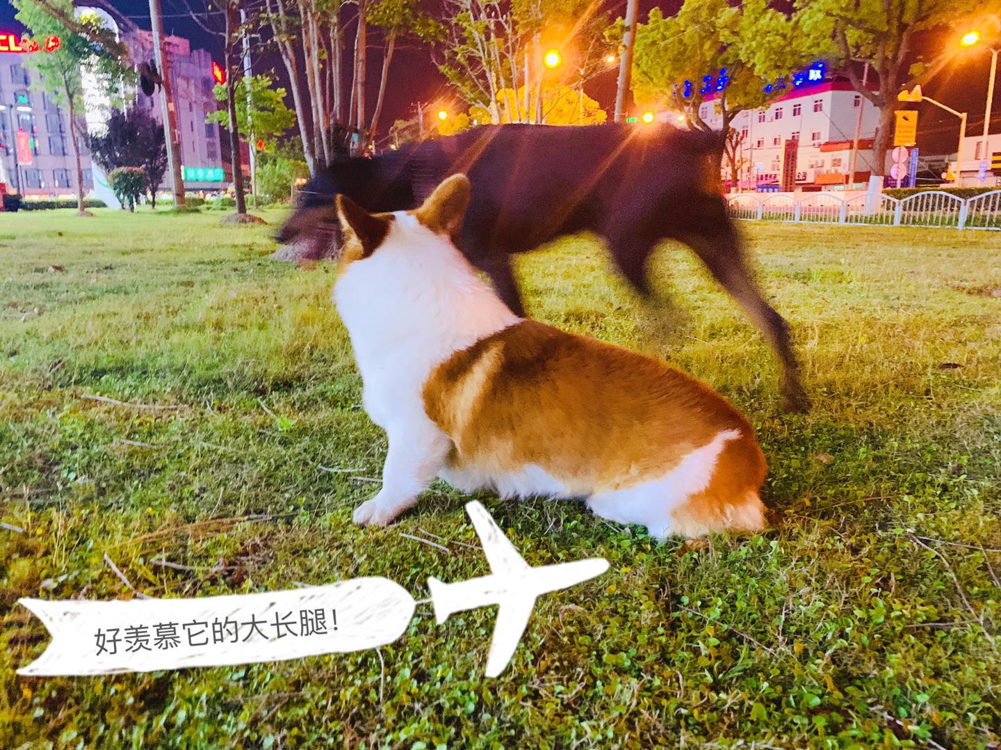 图片1