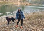 When you go out and walk your dog, please pay attention to these few precautions!