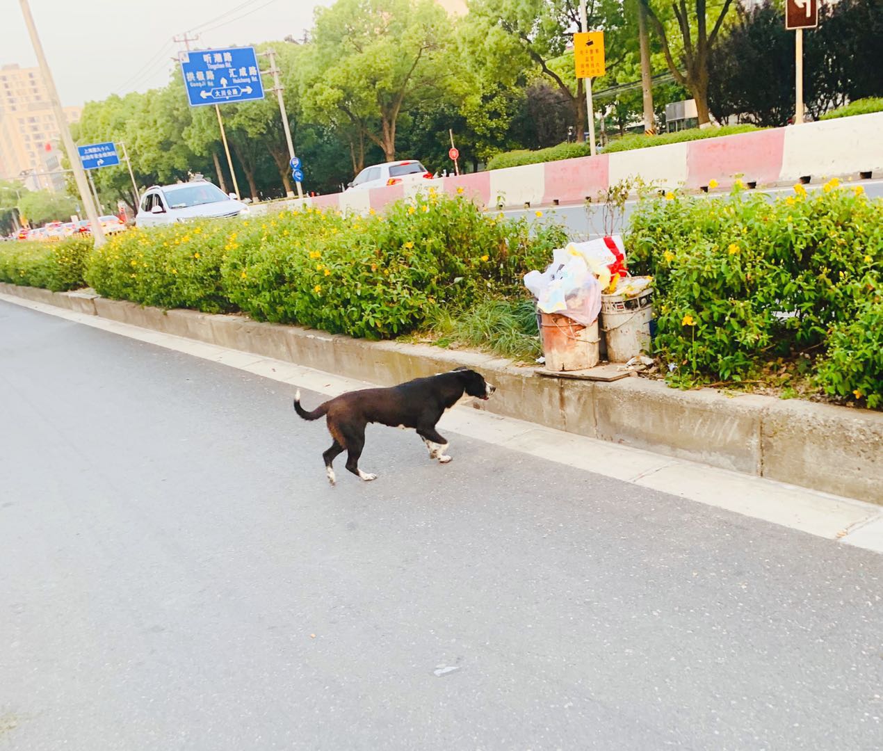 图片1
