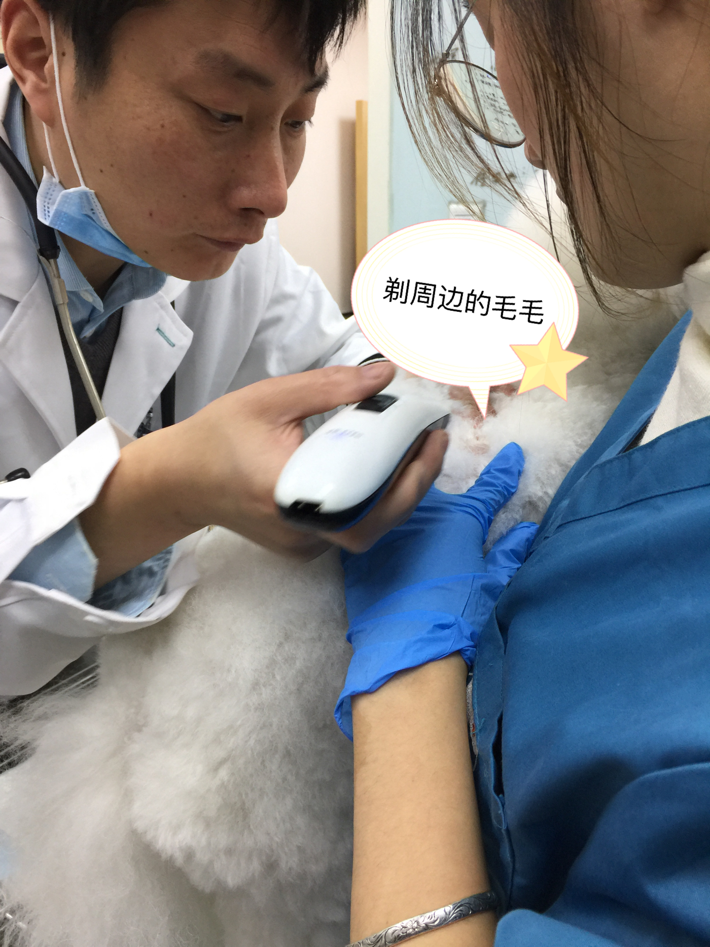 图片1