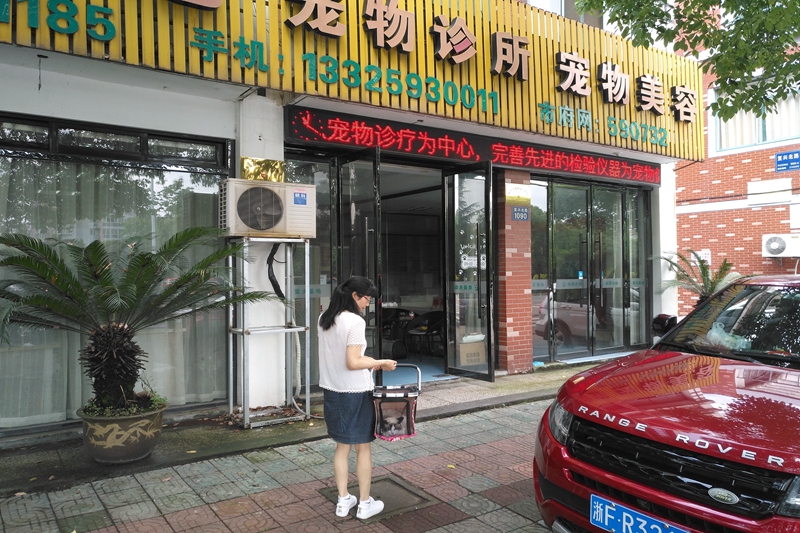 图片1