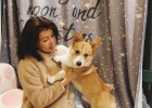 What are the symptoms of dog colds? How to treat it?