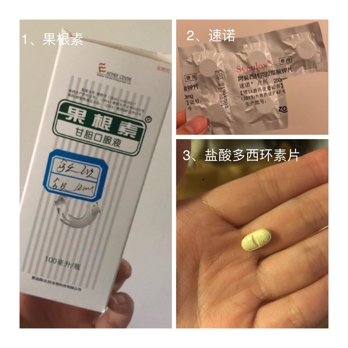 图片1