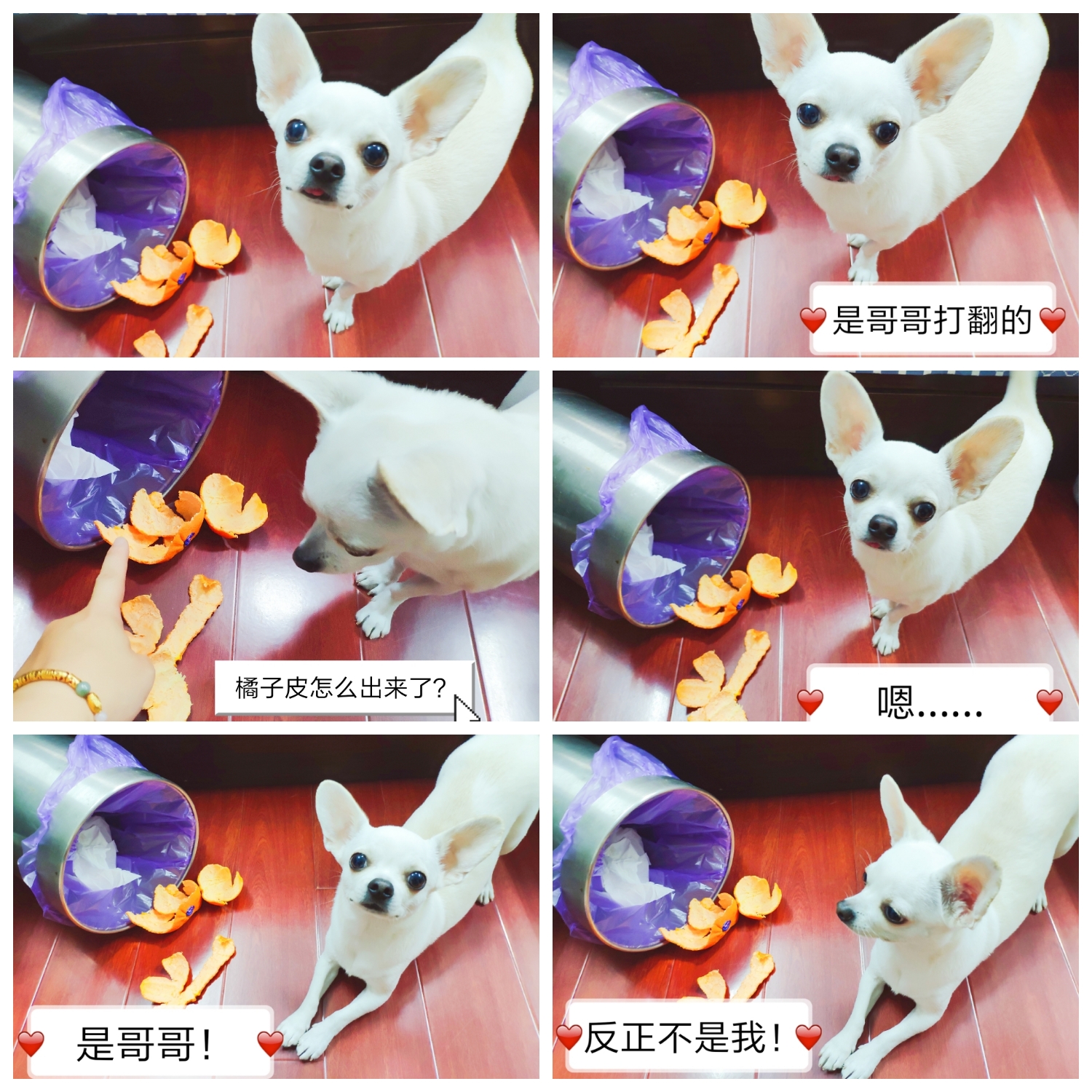 图片1