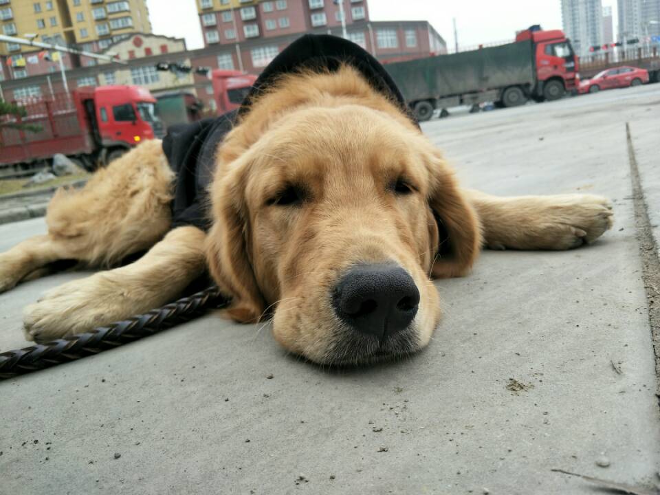 图片1