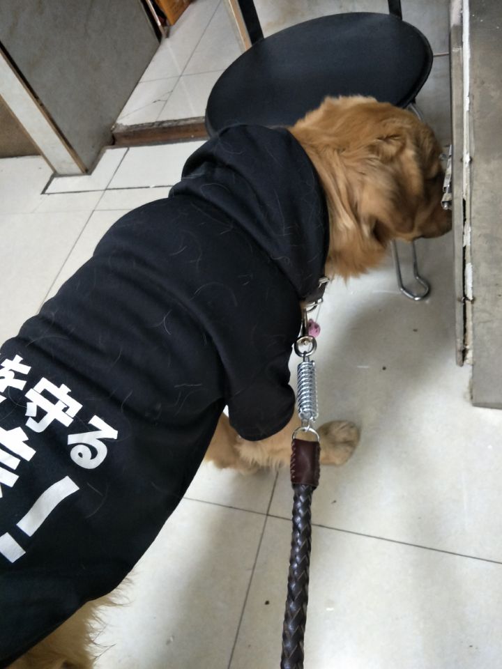 图片1