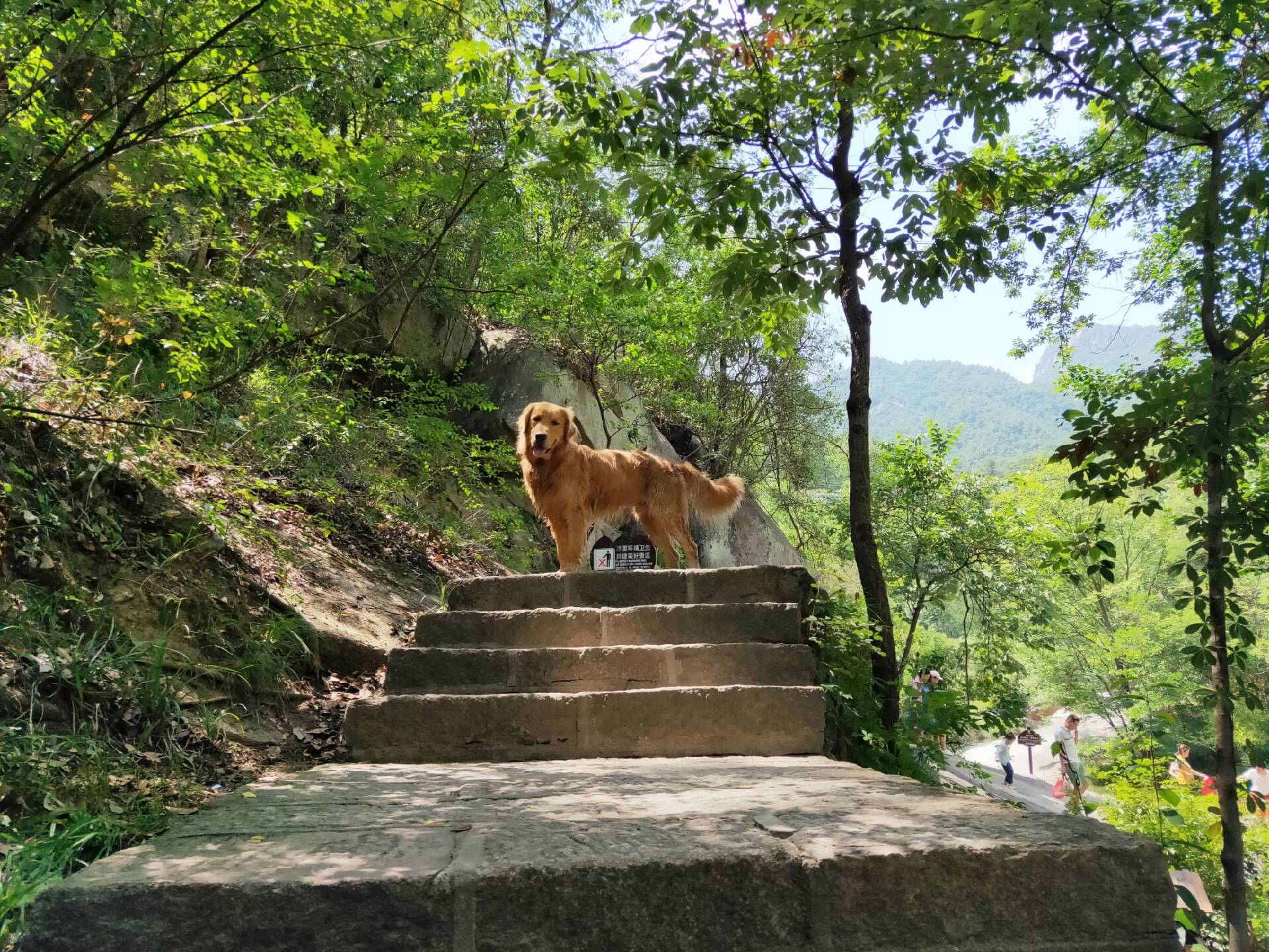 图片1