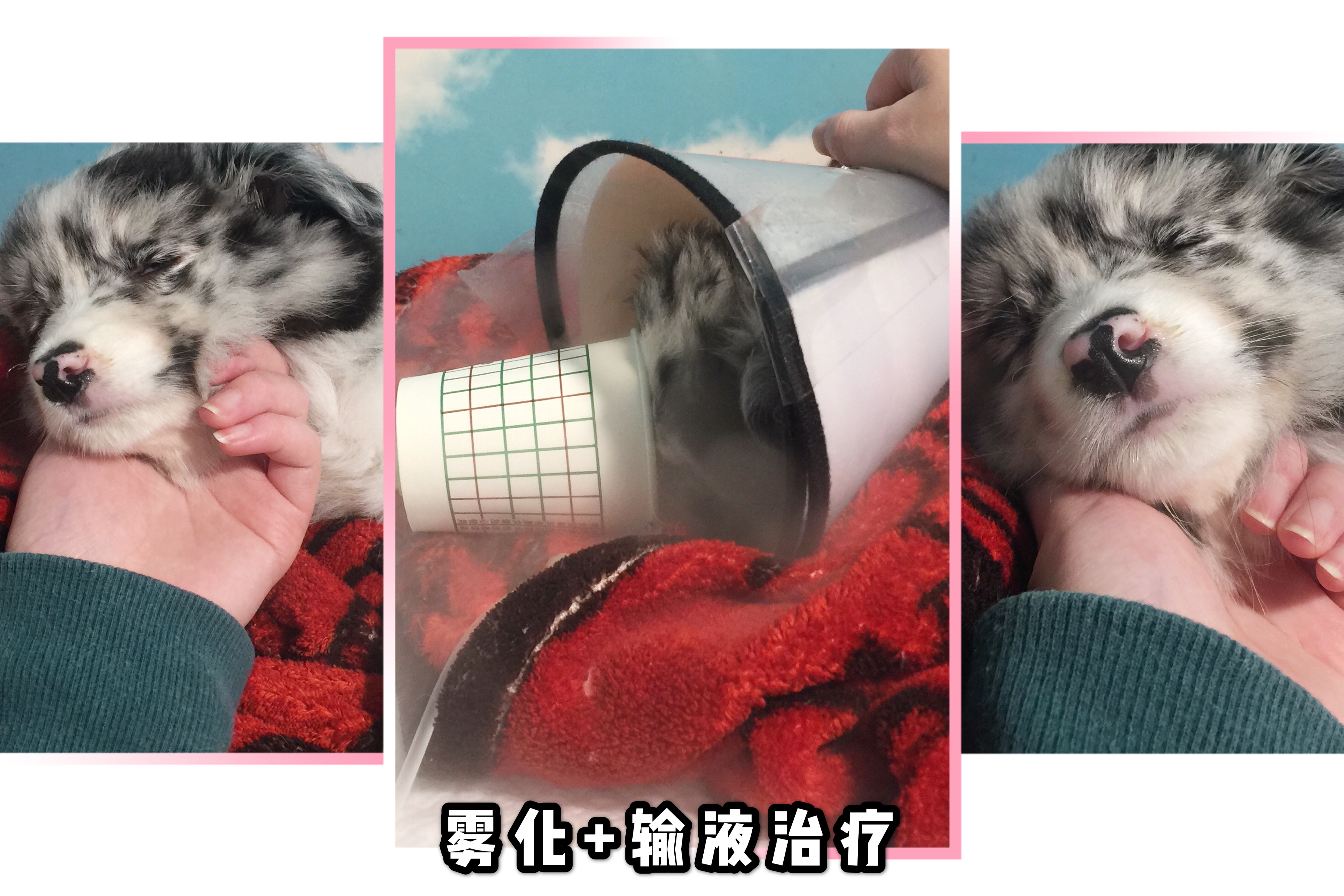 图片1