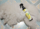 Not daily disinfection? Beware of fungal infections and pyoderma coming to your door!