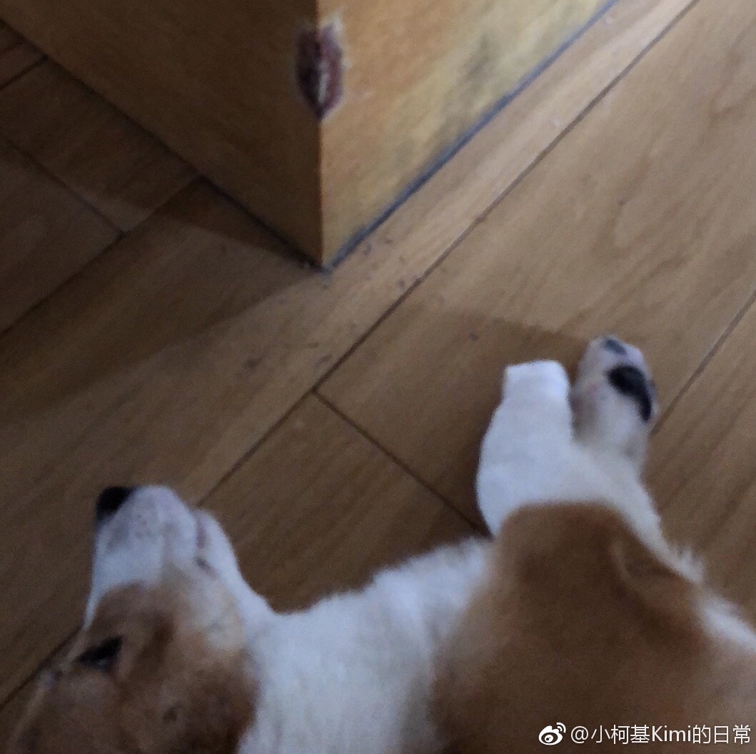 图片1