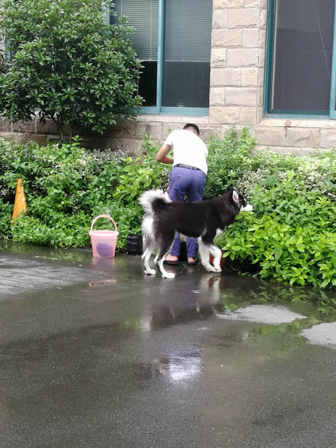 图片1