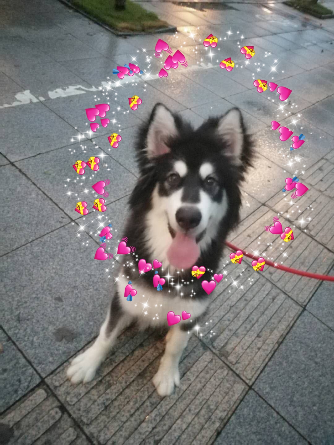 图片1