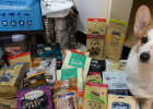 Miss ruby's snack bank-Little Keji's advanced journey of buying snacks