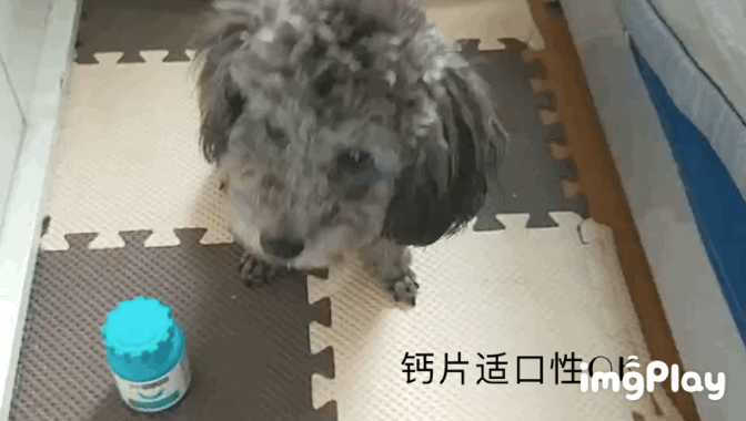 图片1