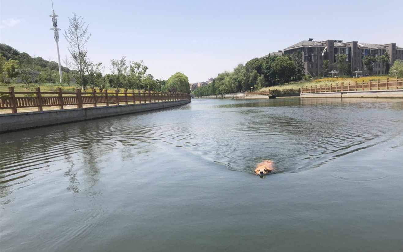 图片1