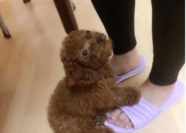 图片1