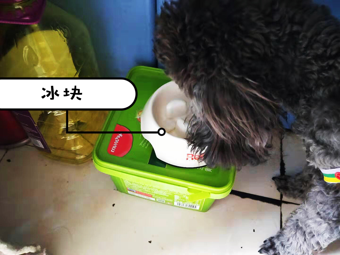 图片1