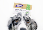 Doggy Experience Sharing: Feeding Probiotics to Dogs