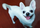 [Experience Sharing] What should I do if kiki shouts?