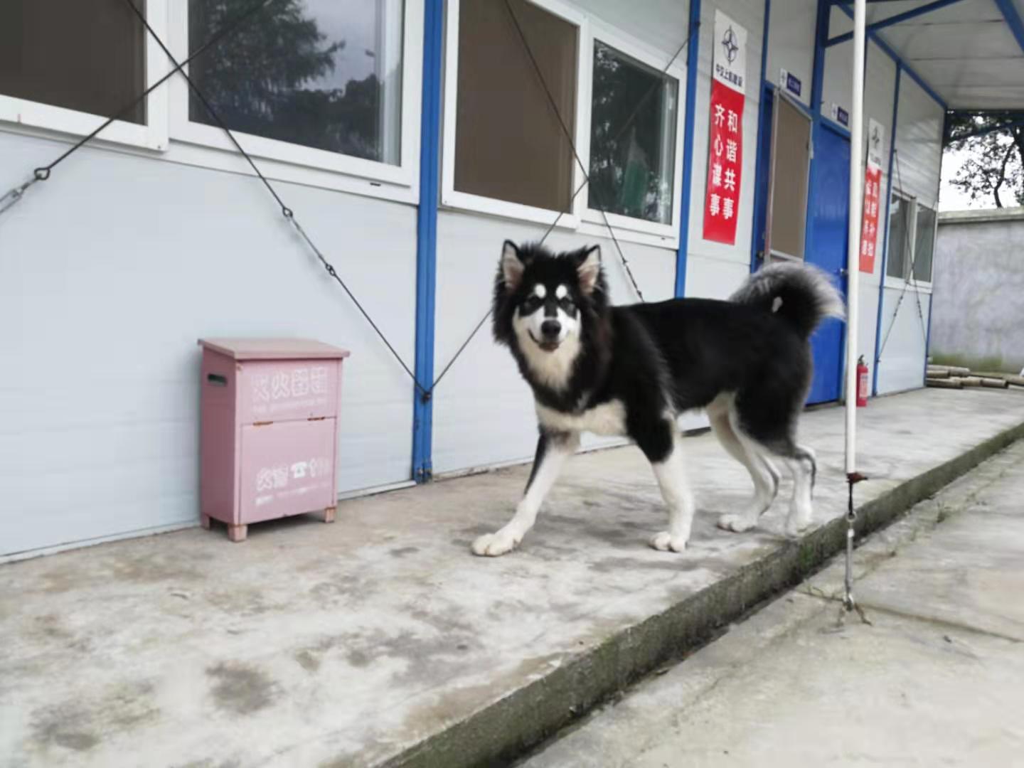 图片1