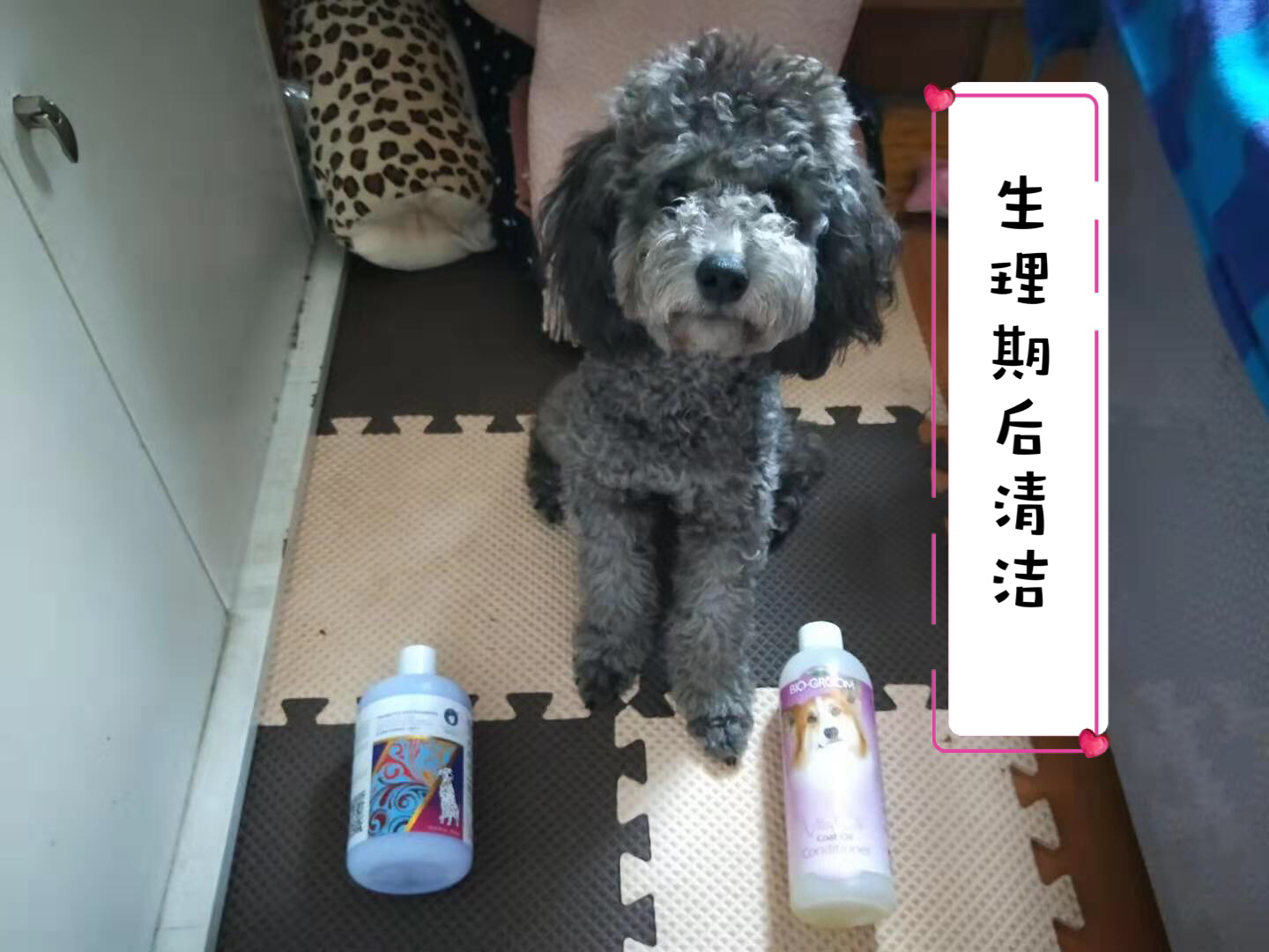 图片1